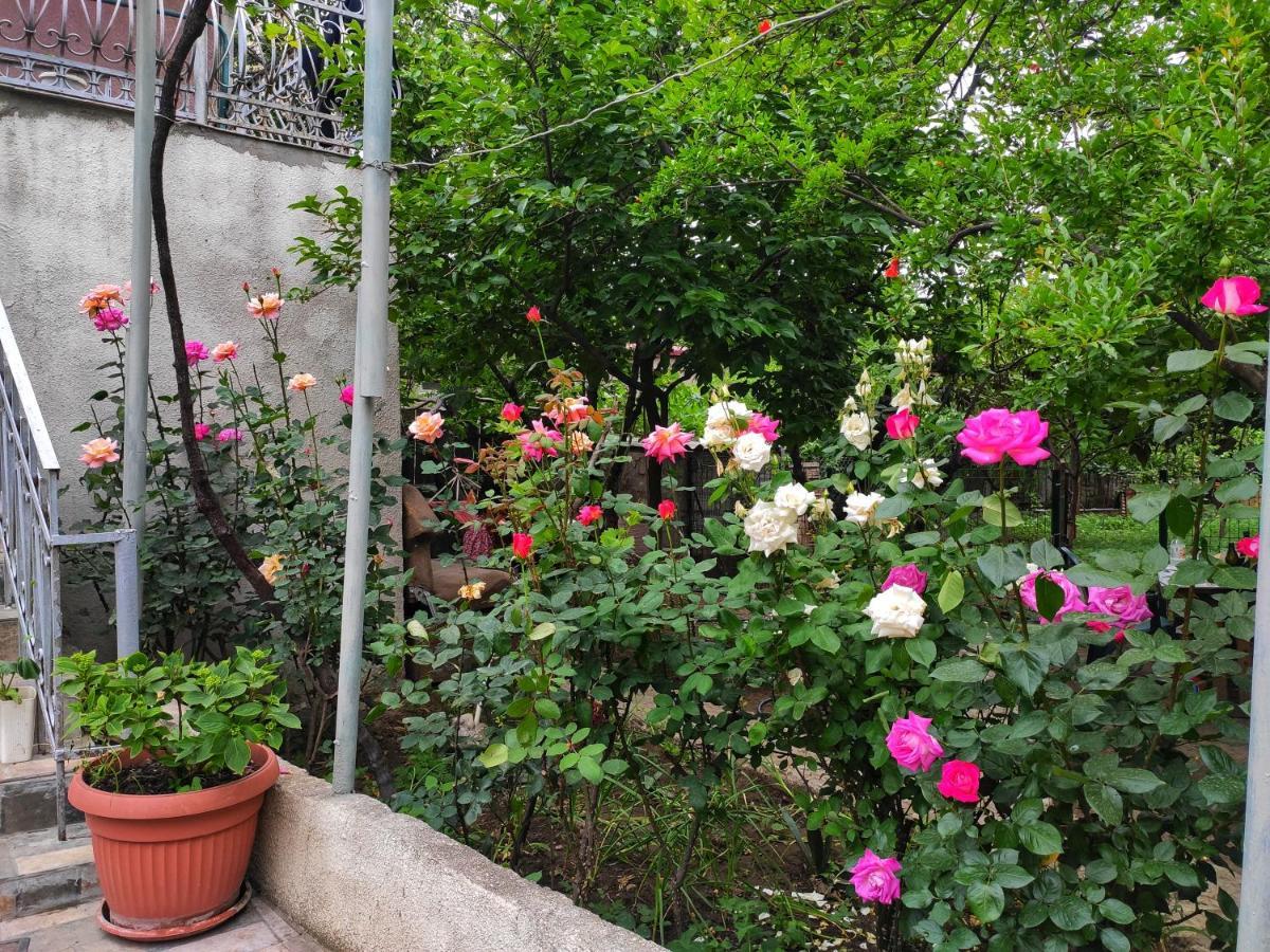 Guesthouse Ttt Tbilisi Esterno foto